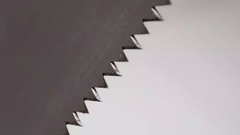 ostrze noża zębatego